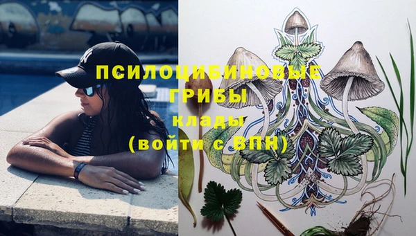PSILOCYBIN Богородицк