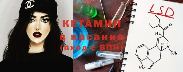 гашиш Богданович
