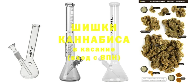 гашиш Богданович