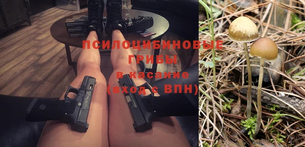 гашиш Богданович