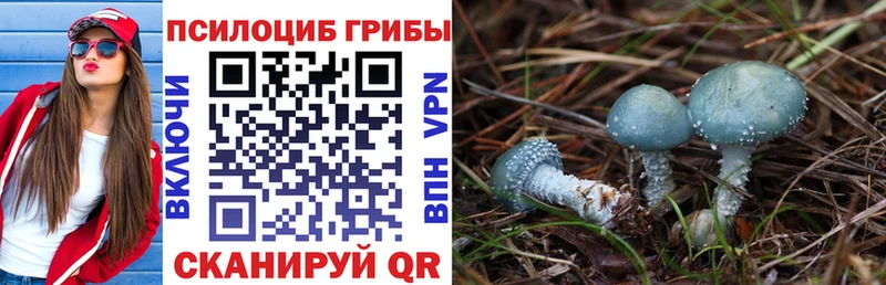 Галлюциногенные грибы ЛСД  как найти наркотики  Междуреченск 